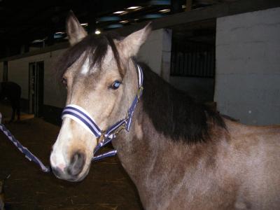 KALINE NOTRE KALINETTE